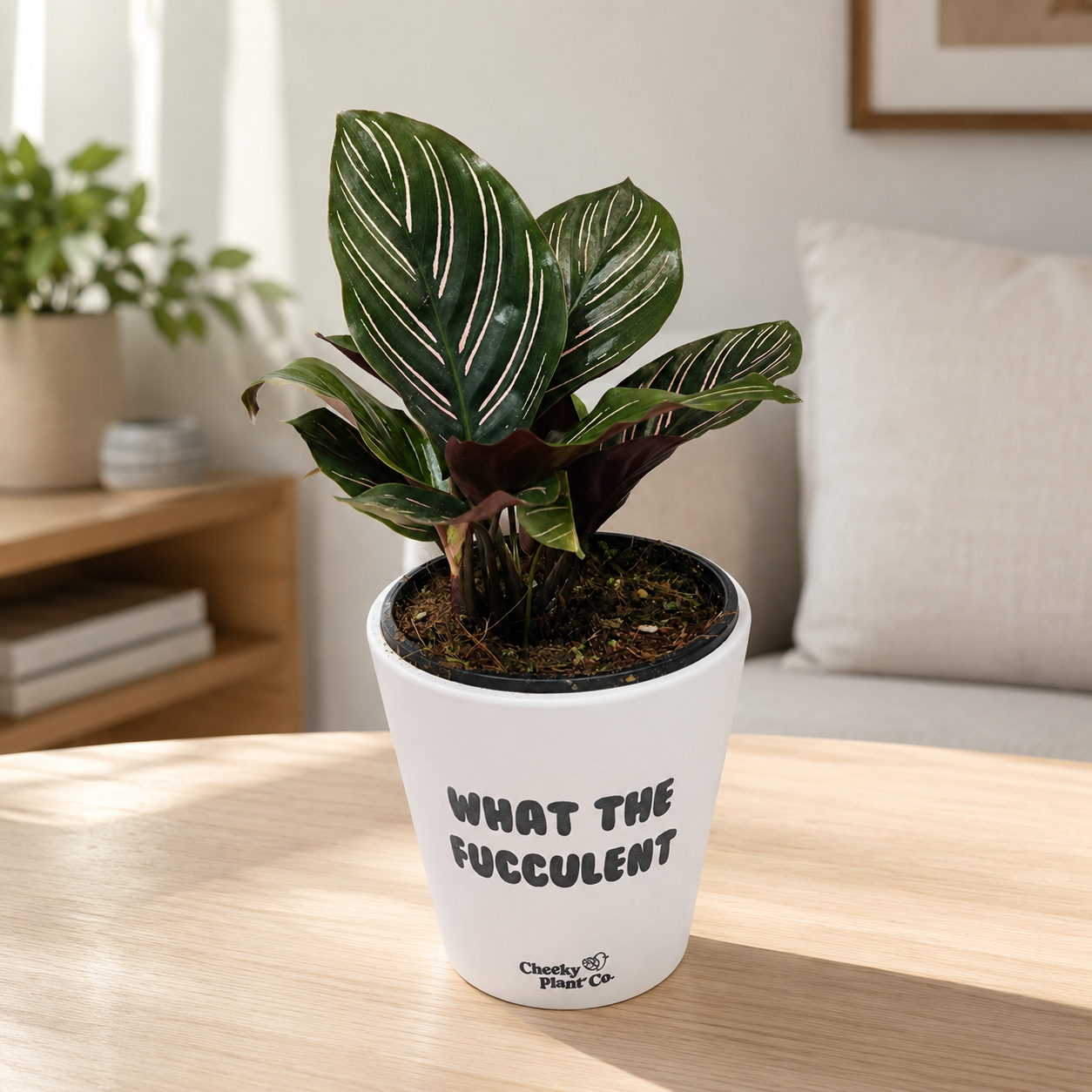 Sip & Grow WTF - Plant Lover Bundle