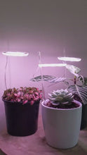 Load and play video in Gallery viewer, Three Rings White Grow Lights
