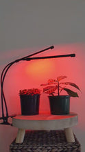 Load and play video in Gallery viewer, Two Headed Red/Blue Grow Lights
